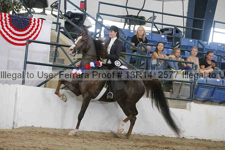 Proof Number 13r14_2577