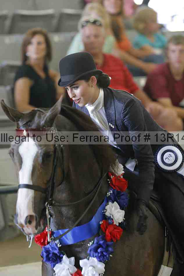 Proof Number 13r14_2583
