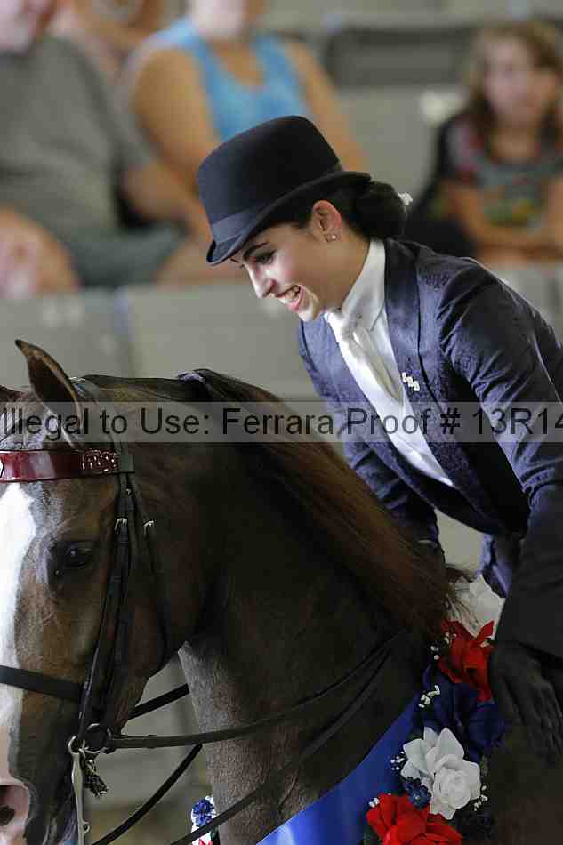 Proof Number 13r14_2585