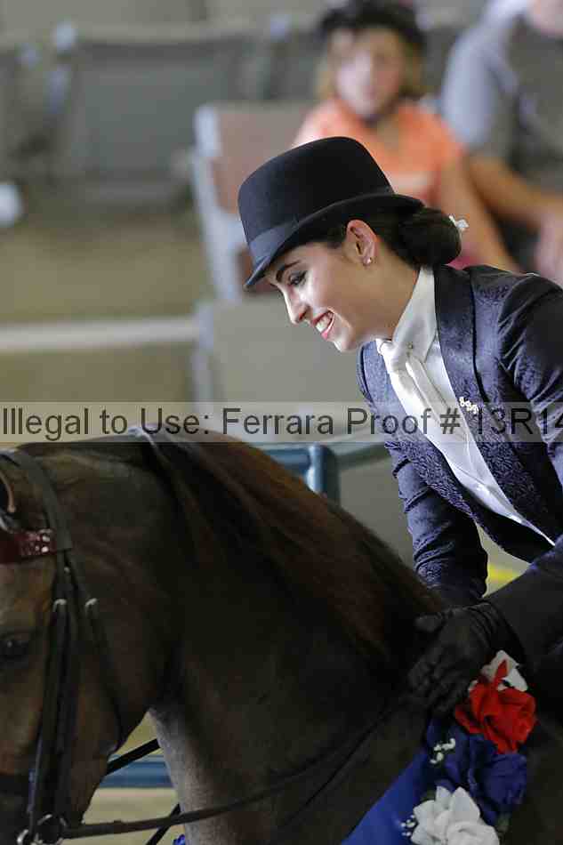 Proof Number 13r14_2586