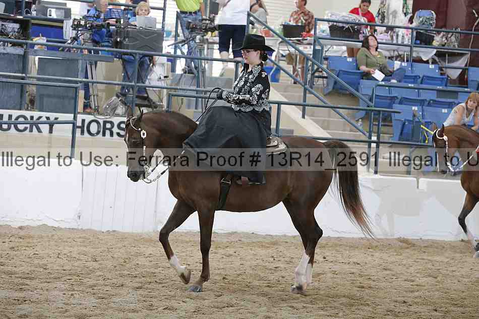 Proof Number 13r14_2591