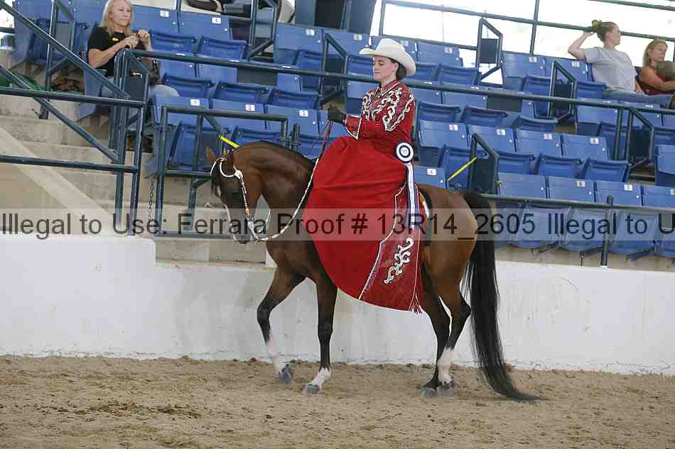 Proof Number 13r14_2605