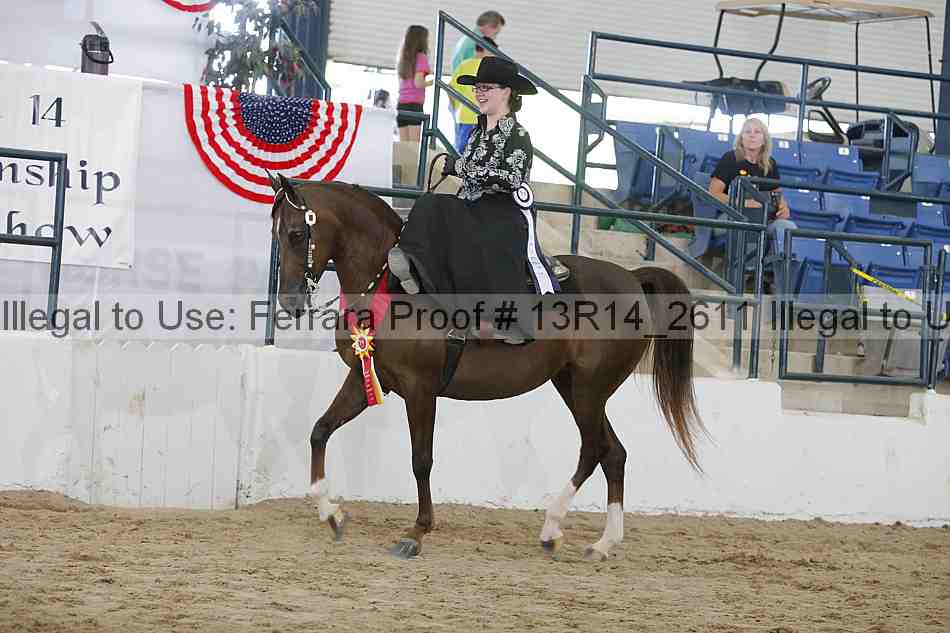 Proof Number 13r14_2611