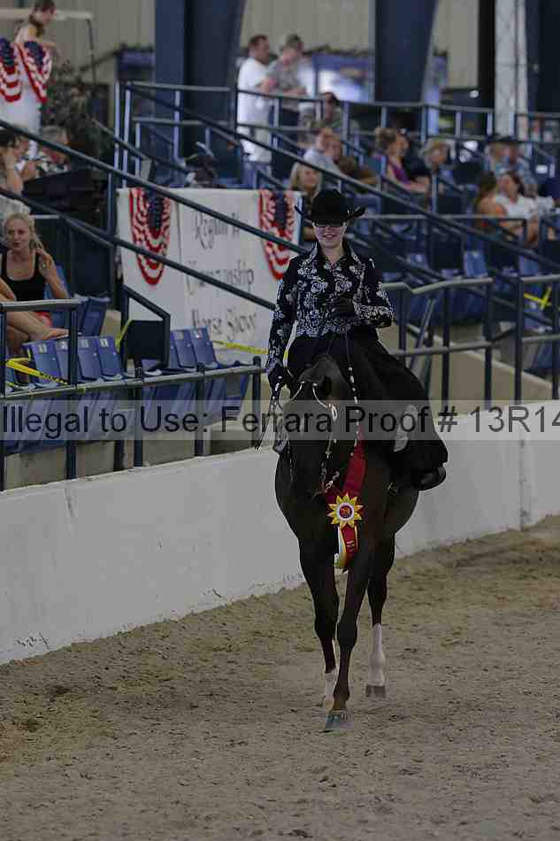 Proof Number 13r14_2618