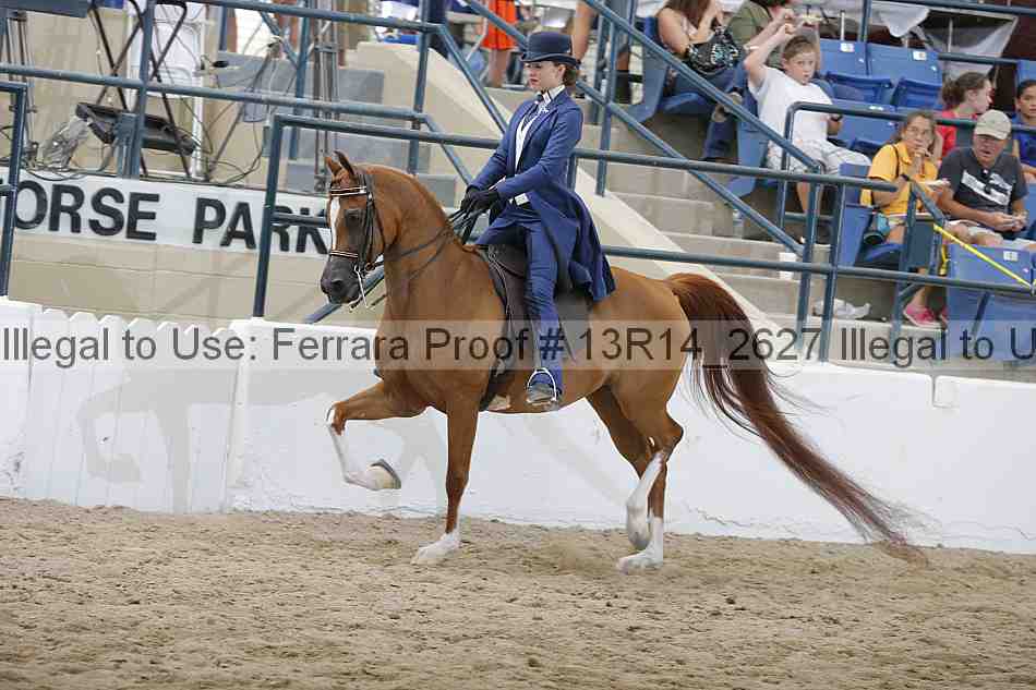 Proof Number 13r14_2627