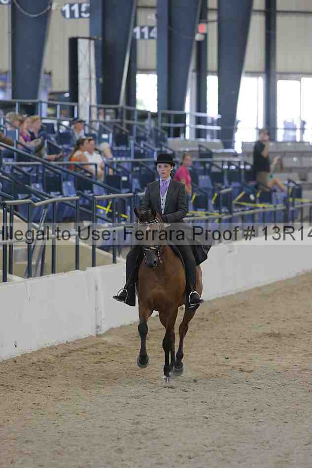 Proof Number 13r14_2635