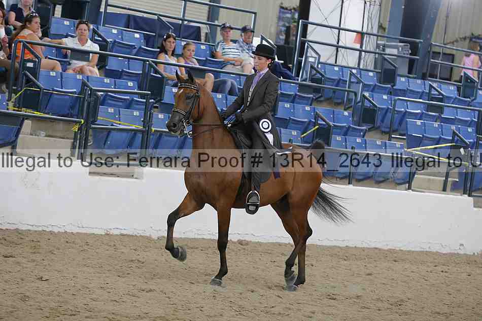 Proof Number 13r14_2643