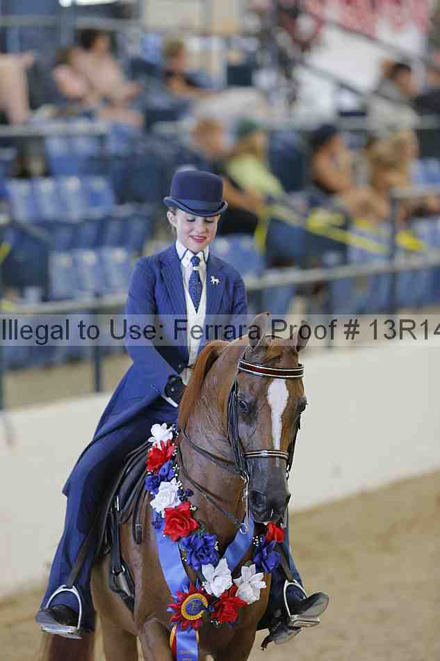Proof Number 13r14_2646