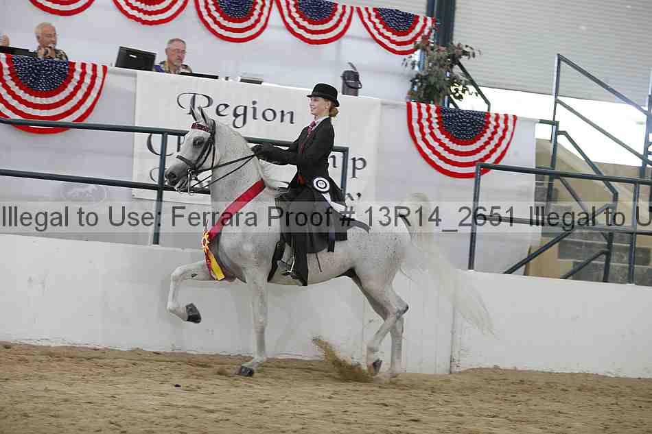 Proof Number 13r14_2651