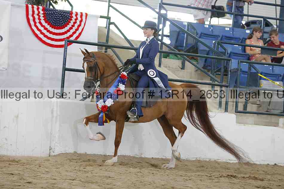 Proof Number 13r14_2653