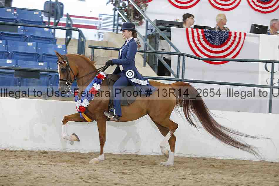 Proof Number 13r14_2654