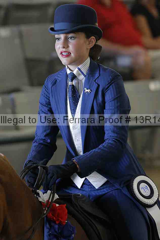 Proof Number 13r14_2658