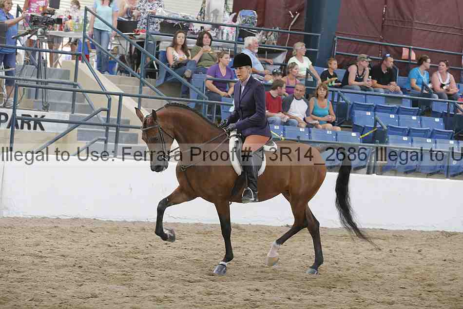 Proof Number 13r14_2686