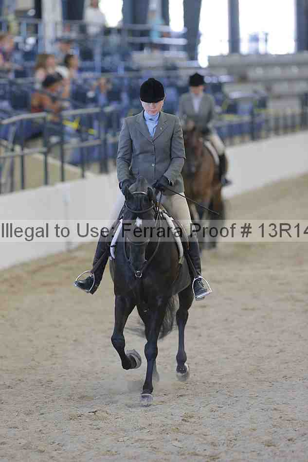 Proof Number 13r14_2688