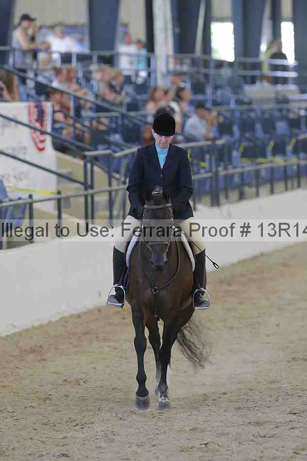 Proof Number 13r14_2691