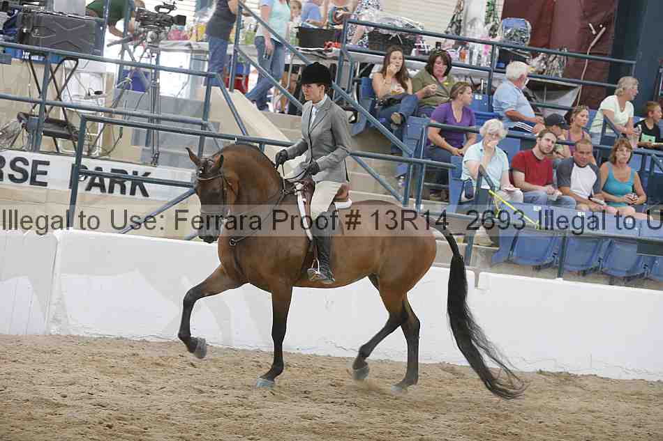 Proof Number 13r14_2693