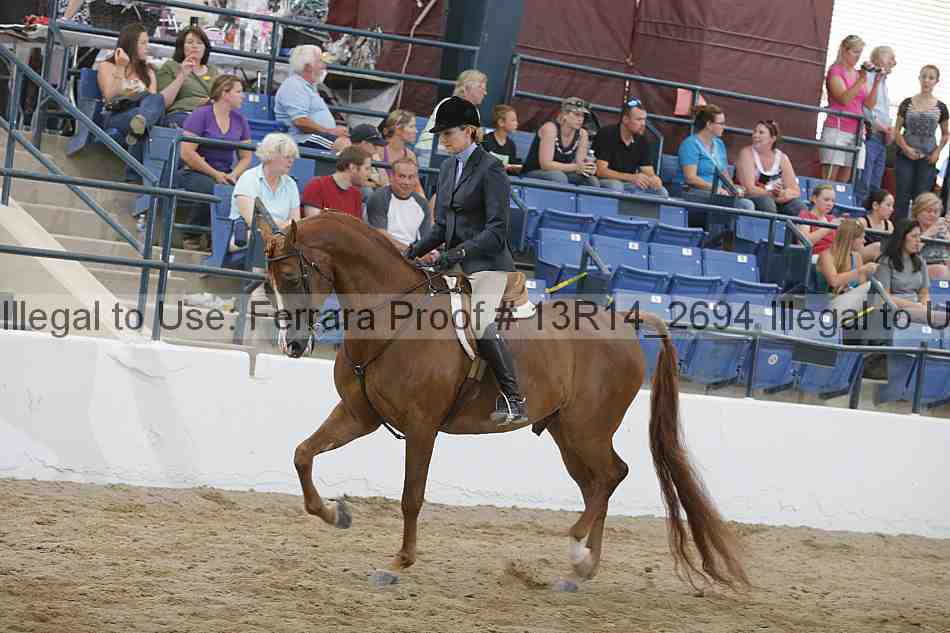 Proof Number 13r14_2694