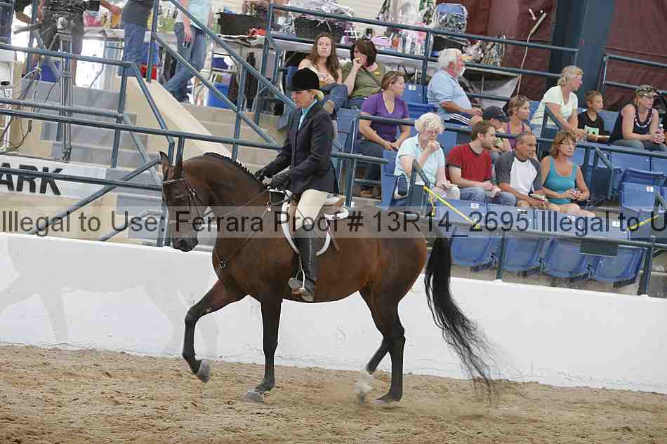 Proof Number 13r14_2695