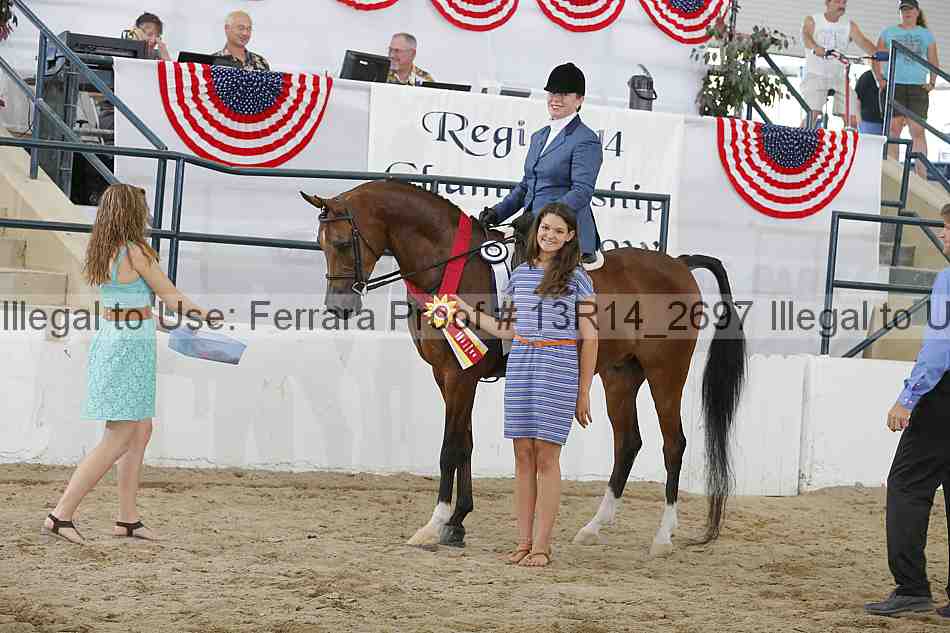 Proof Number 13r14_2697