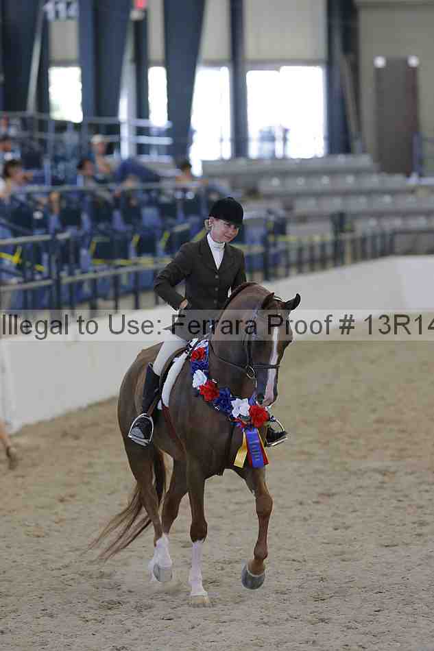 Proof Number 13r14_2700