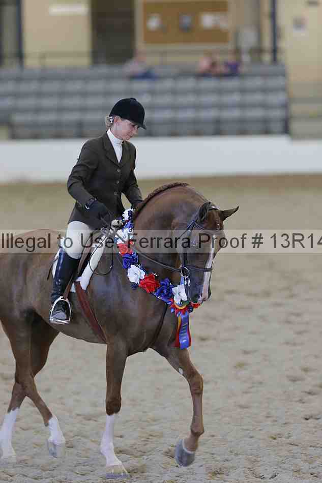 Proof Number 13r14_2701