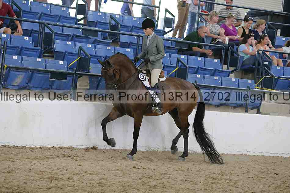 Proof Number 13r14_2702