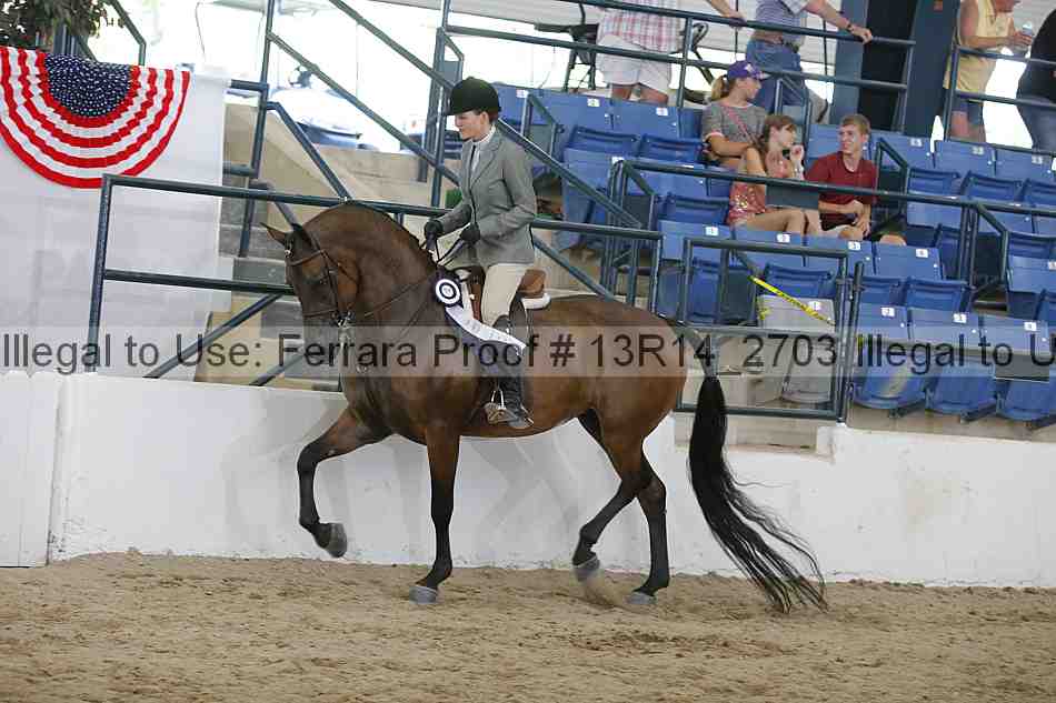 Proof Number 13r14_2703