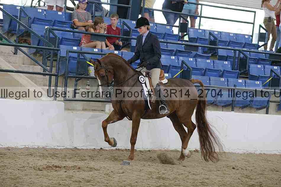 Proof Number 13r14_2704