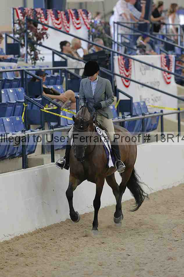 Proof Number 13r14_2705