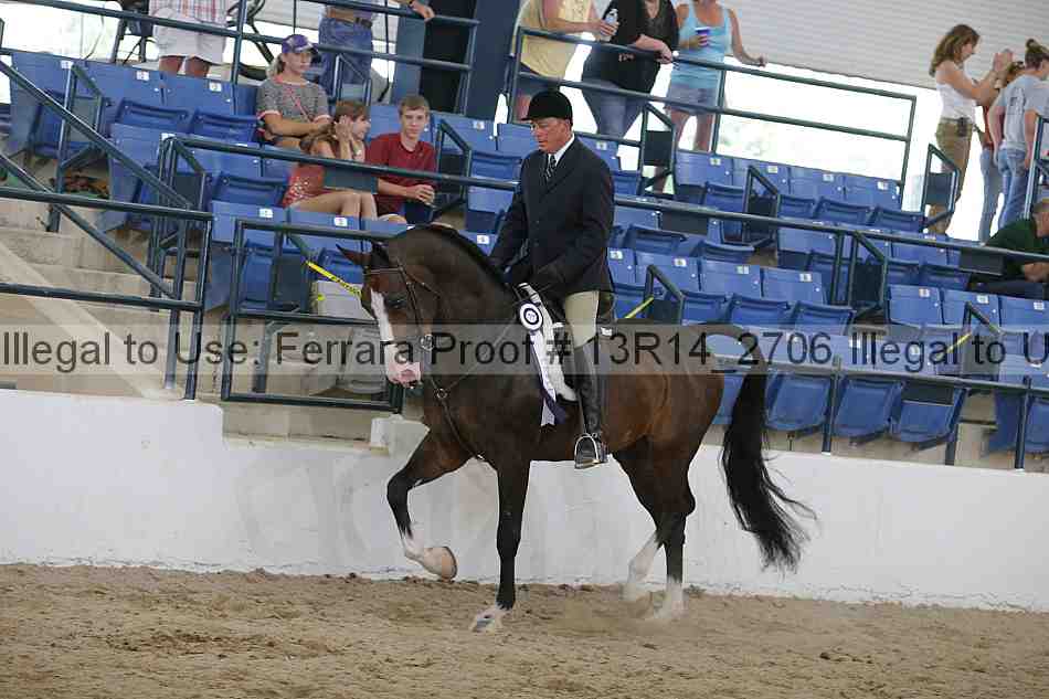 Proof Number 13r14_2706
