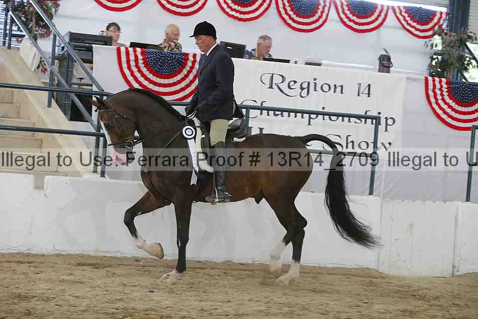 Proof Number 13r14_2709
