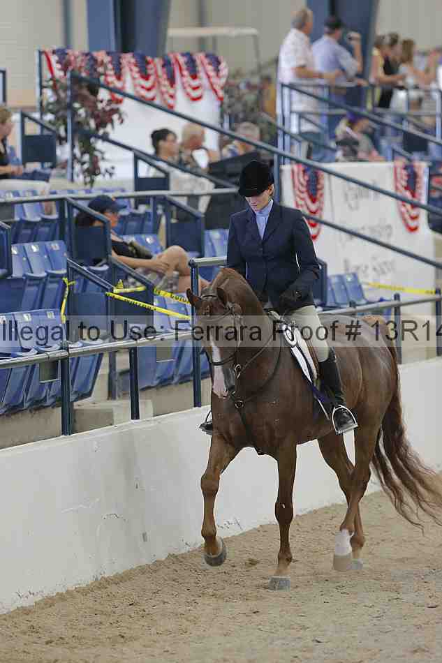 Proof Number 13r14_2710