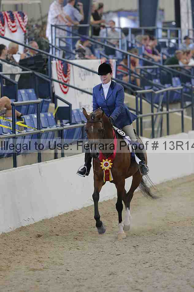 Proof Number 13r14_2715