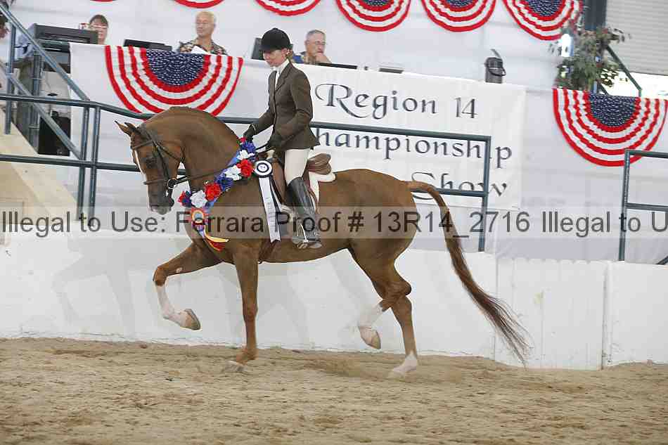 Proof Number 13r14_2716