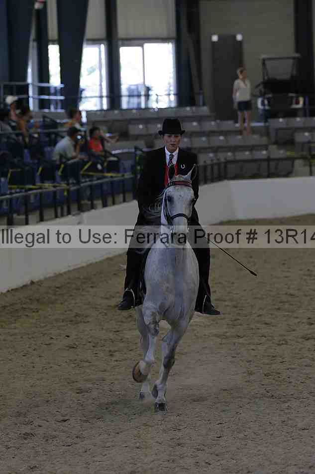 Proof Number 13r14_2731