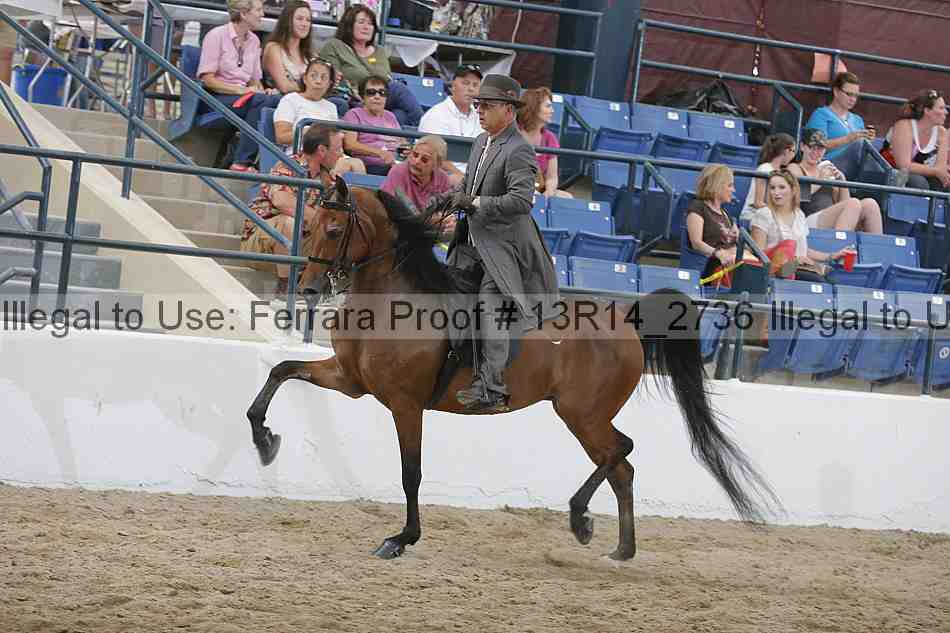 Proof Number 13r14_2736