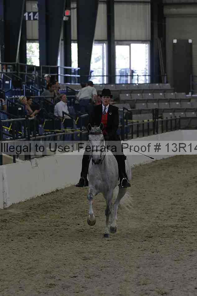 Proof Number 13r14_2740