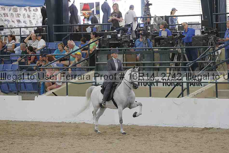 Proof Number 13r14_2742