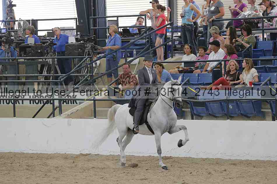 Proof Number 13r14_2743