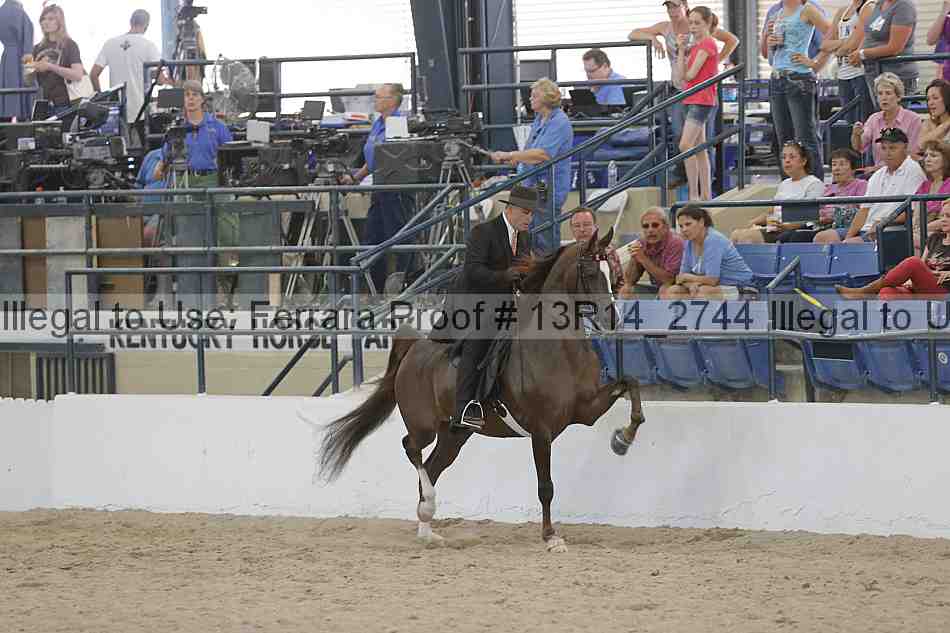 Proof Number 13r14_2744