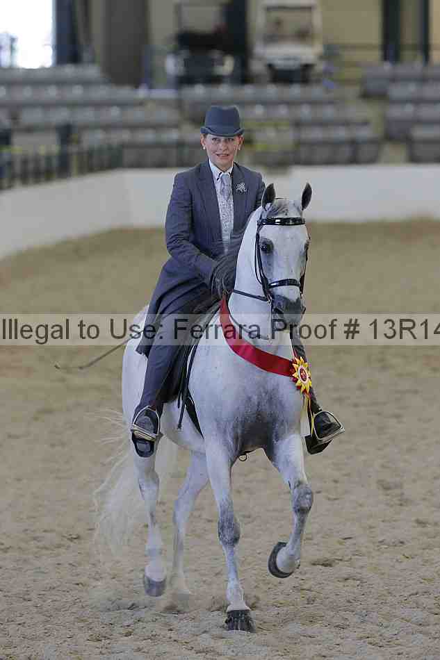 Proof Number 13r14_2752