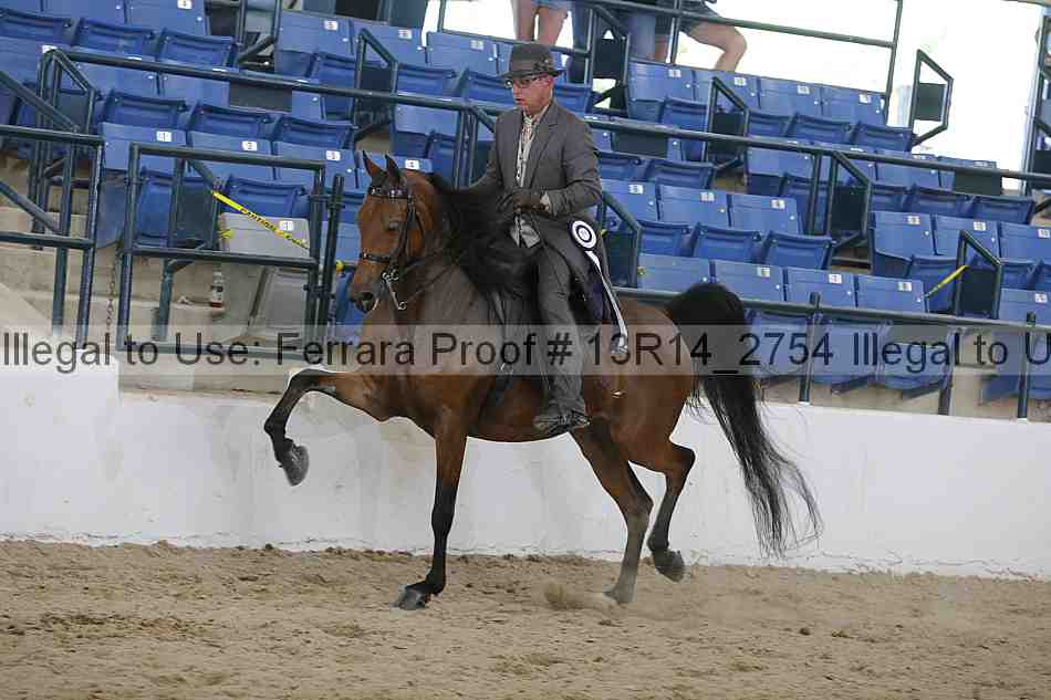 Proof Number 13r14_2754