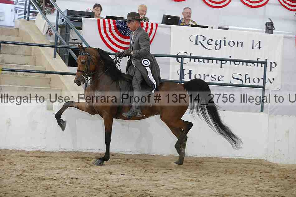 Proof Number 13r14_2756