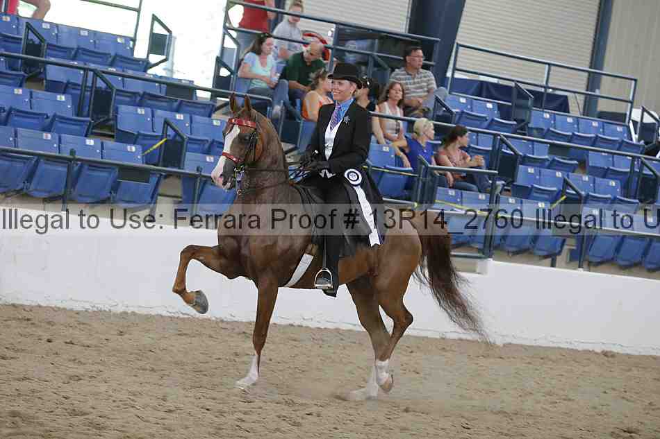Proof Number 13r14_2760