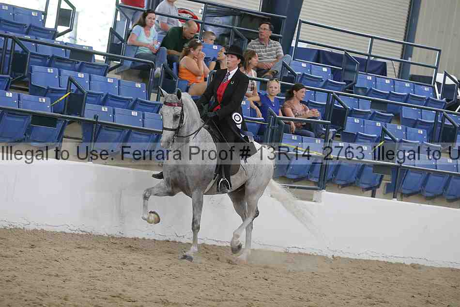 Proof Number 13r14_2763