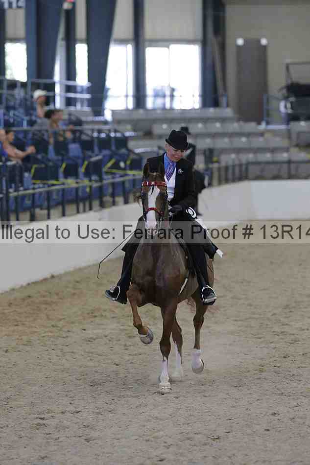 Proof Number 13r14_2765