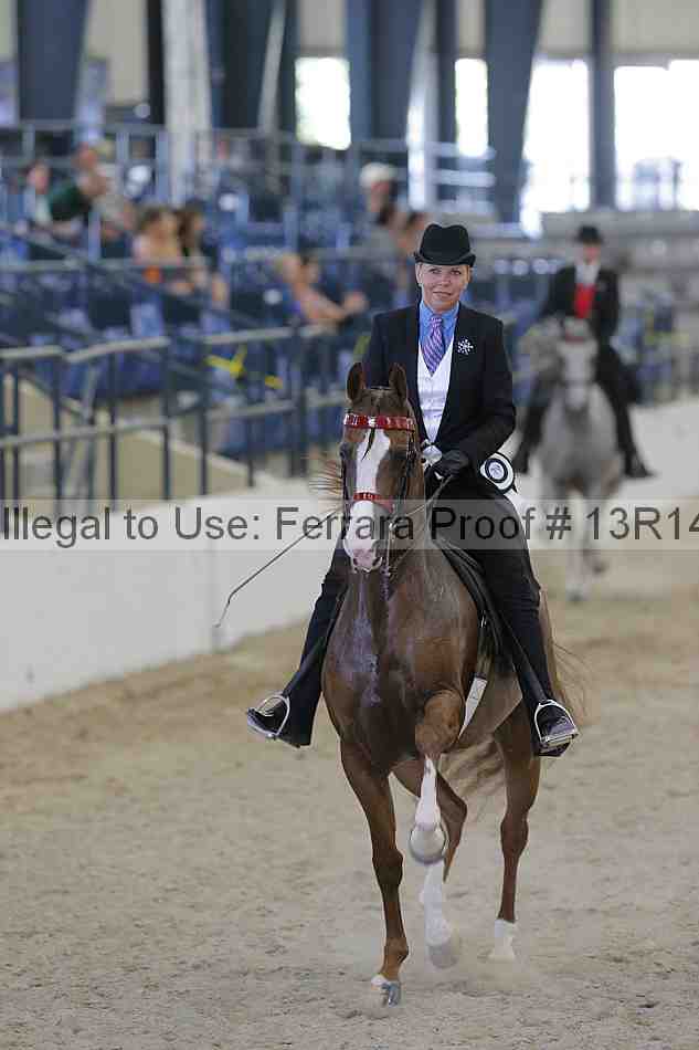 Proof Number 13r14_2766