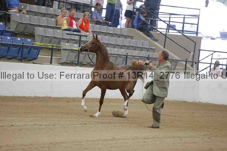 Proof Number 13r14_2776