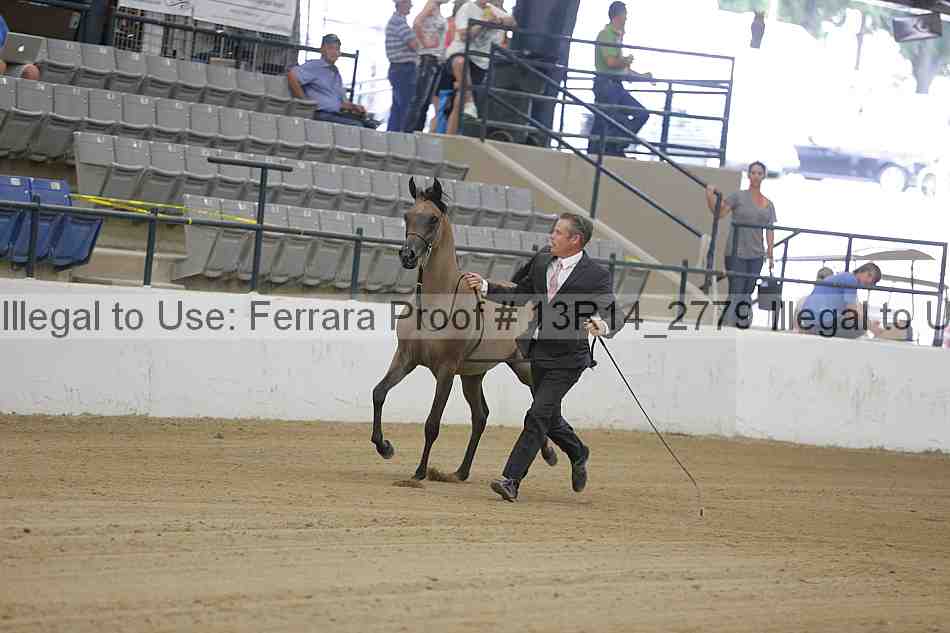 Proof Number 13r14_2779