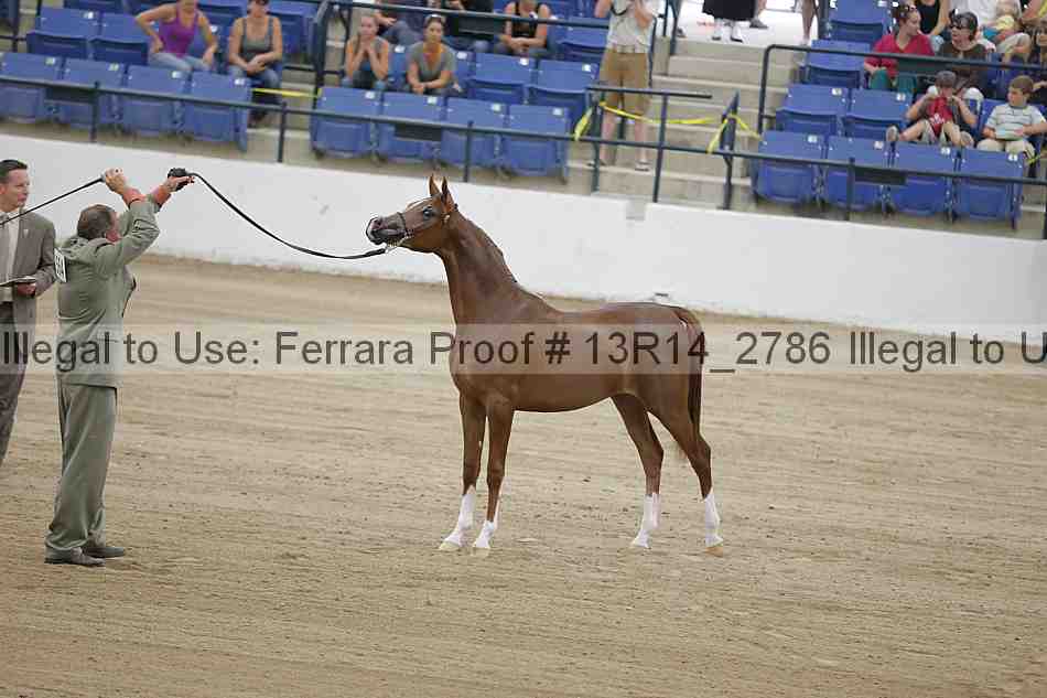 Proof Number 13r14_2786